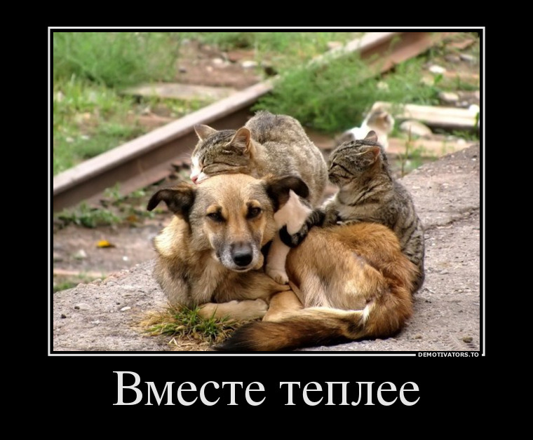 Минутка умиления. Потратьте эту минутку с пользой для настроения!)