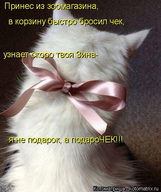 Котоматрицы великолепные, каждая с кусочком тепла, позитива и улыбкой!!! Всем добрых событий сегодня!!! Котоматрицы великолепные, каждая с кусочком тепла, позитива и улыбкой!!! Всем добрых событий сегодня!!!