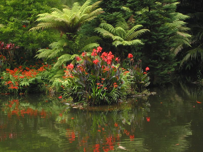 Азорские острова - места нетронутой природы