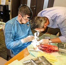 SGS Dental анонсирует новый обучающий курс для стоматологов-хирургов-имплантологов SGS Dental анонсирует новый обучающий курс для стоматологов-хирургов-имплантологов