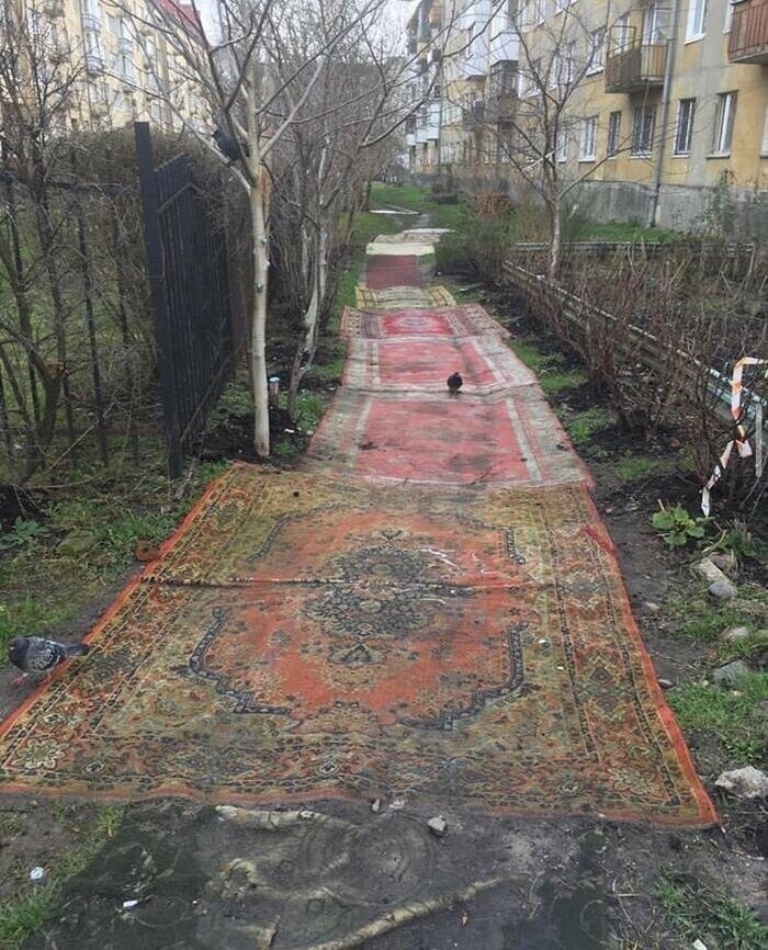 Путь устлан коврами... Что может быть шикарнее? Шикарно жить не запретишь
(19 фото)