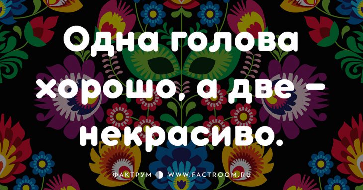 20 смешных современных поговорок, которых вы ещё не слышали 20 смешных современных поговорок, которых вы ещё не слышали