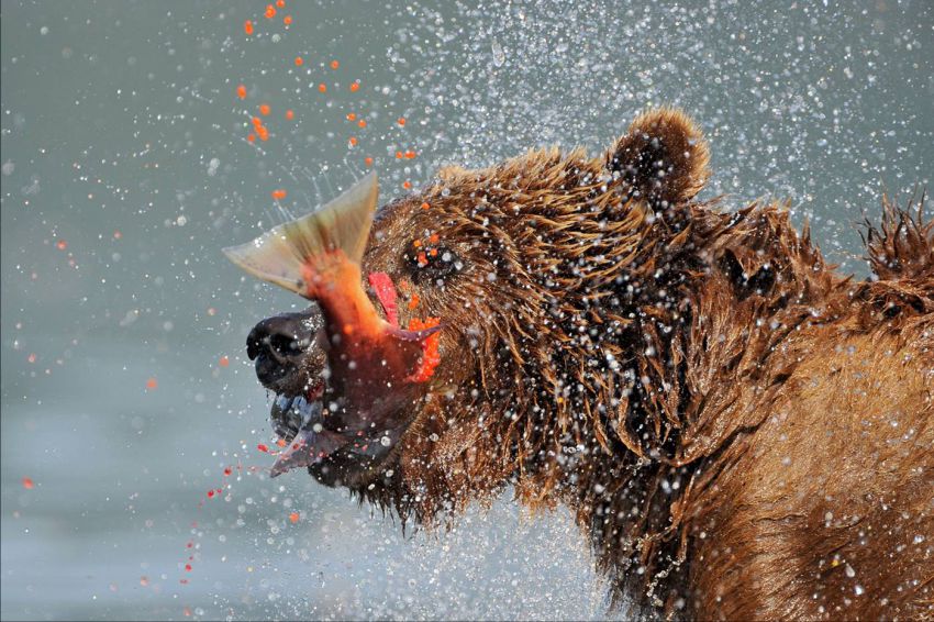 №7, россия, петергоф, чудеса, россии, сьем, чудес, красота, гейзер, долина, байкал