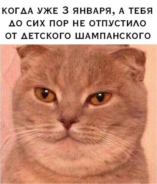 Свежая порция прикольных фотомемов (25 шт) Свежая порция прикольных фотомемов (25 шт)