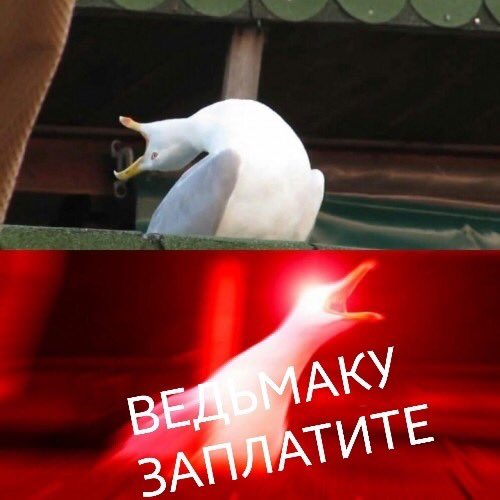 Вот почему фанаты стебутся над экранизацией «Ведьмака»: 11 лучших мемов