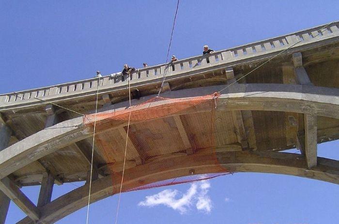 Спасение медведя, который сутки провисел под мостом цепляясь за жизнь Спасение медведя, который сутки провисел под мостом цепляясь за жизнь