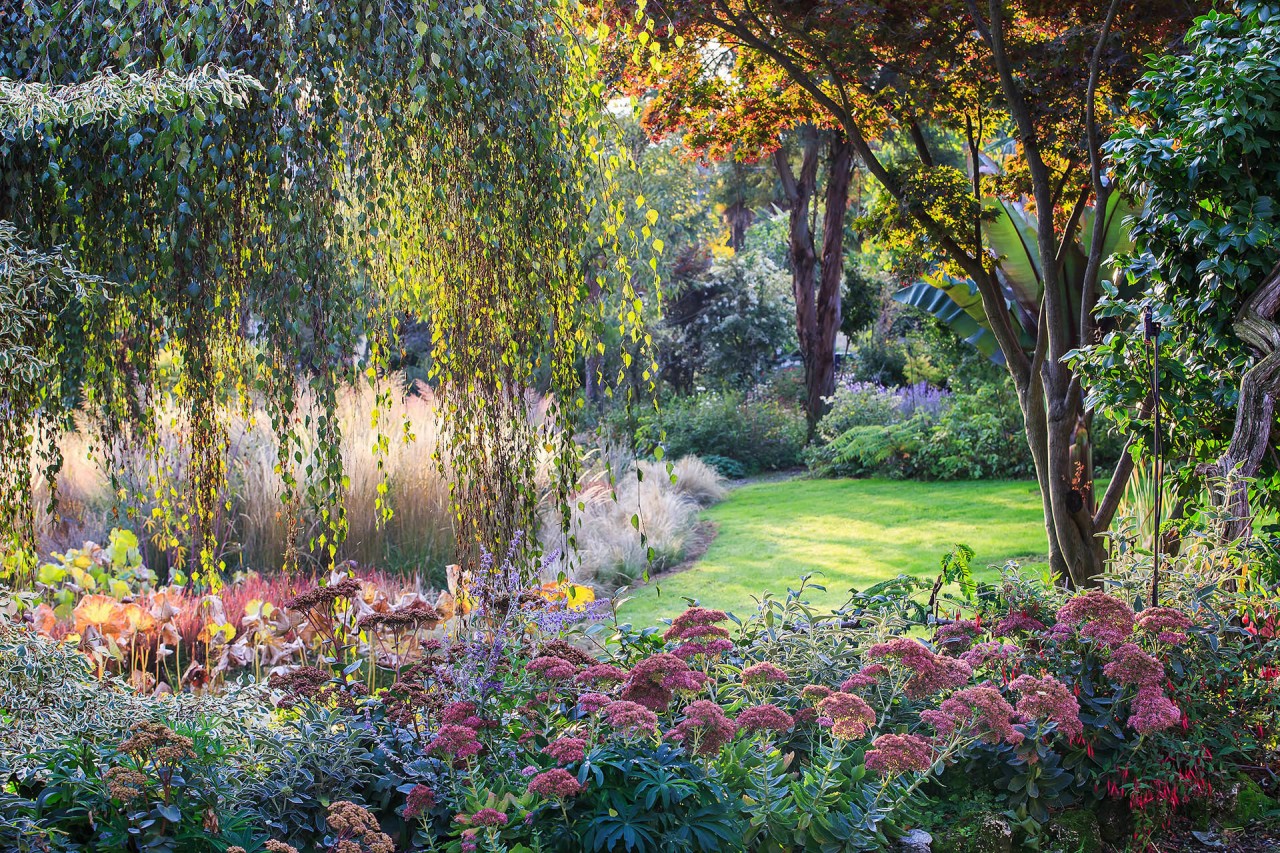 Лучший садово-парковый фотограф в конкурсе International Garden Photographer of the Year 2018