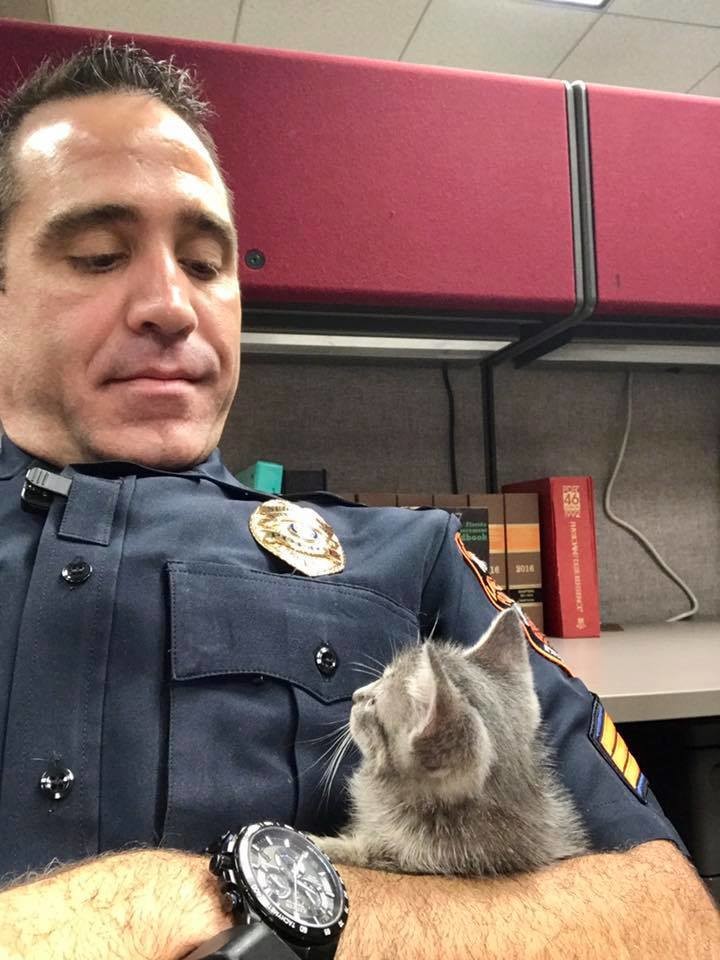 Полицейский всю ночь обнимал бездомного котенка, чтобы спасти его от одиночества в мире, добро, животные, котенок, люди, милота, полицейский