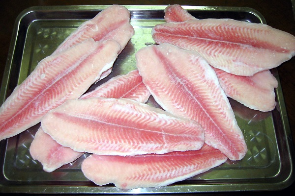 пангасиус опасен для здоровья