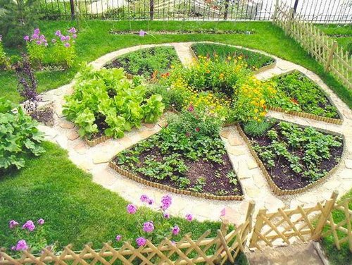 Декоративный огород: как сделать красивые грядки на участке