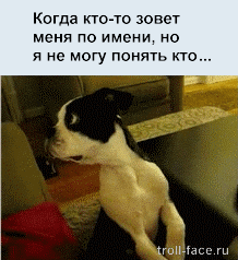Жизненные ситуации в прикольных картинках. Часть 7 (13 гифок) Жизненные ситуации в прикольных картинках. Часть 7 (13 гифок)