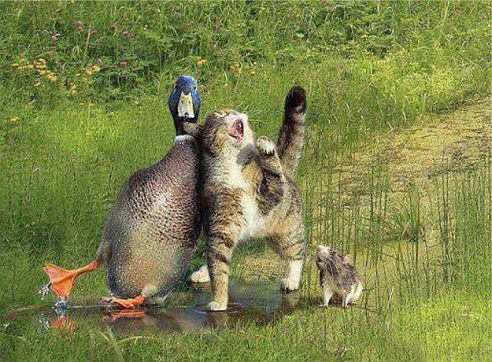 ������ ������ ������ �� ���������! :)