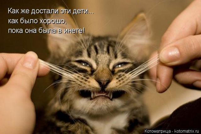 Котоматрицы великолепные, каждая с кусочком тепла, позитива и улыбкой!!! Всем добрых событий сегодня!!! Котоматрицы великолепные, каждая с кусочком тепла, позитива и улыбкой!!! Всем добрых событий сегодня!!!