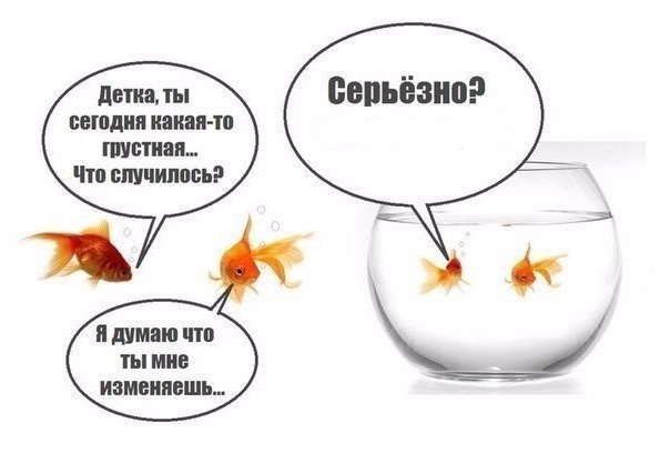 Смех не грех)) Смех не грех))
