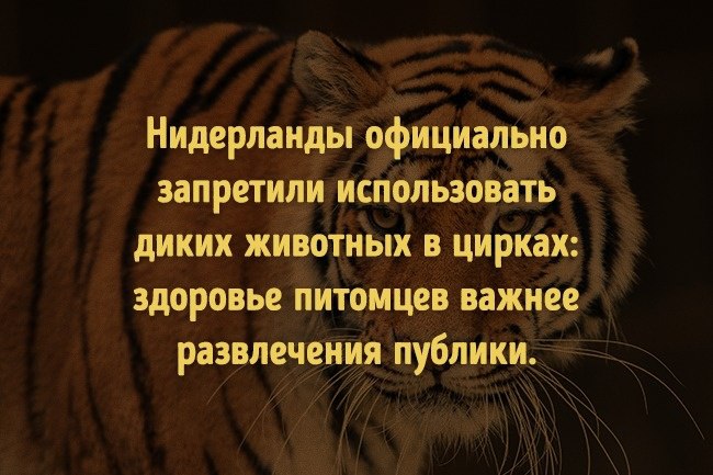 8 доказательств того, что у человечества еще есть шанс