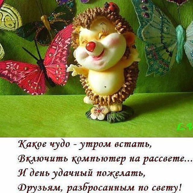 Хорошее прикольное пожелание с добрым утром Хорошее прикольное пожелание с добрым утром