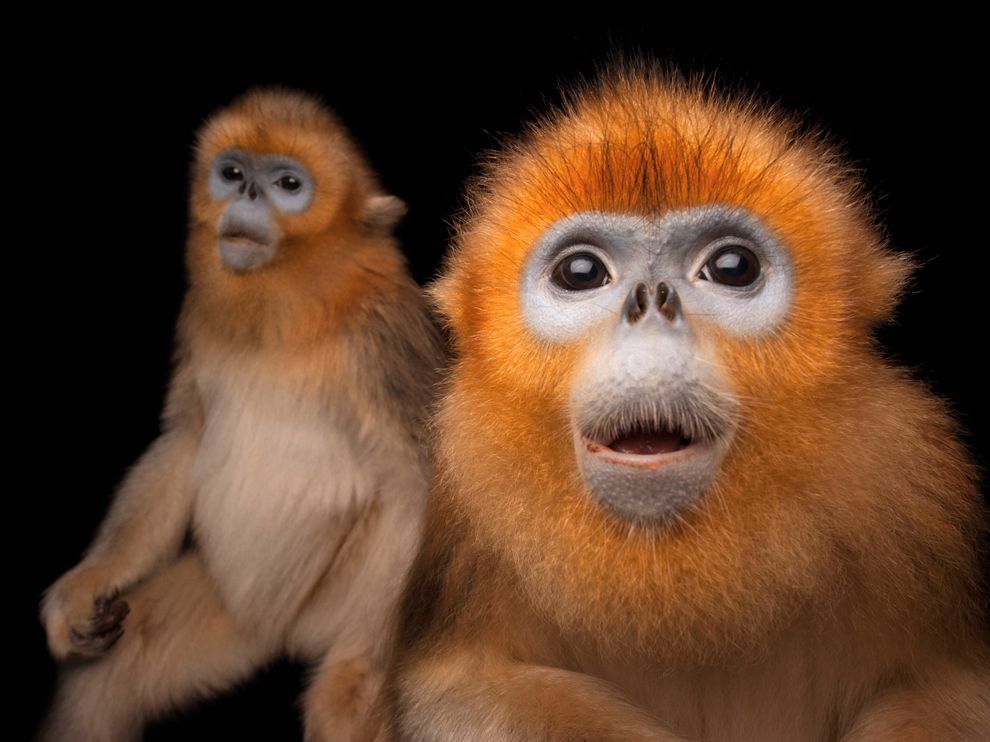 Лучшие фото National Geographic