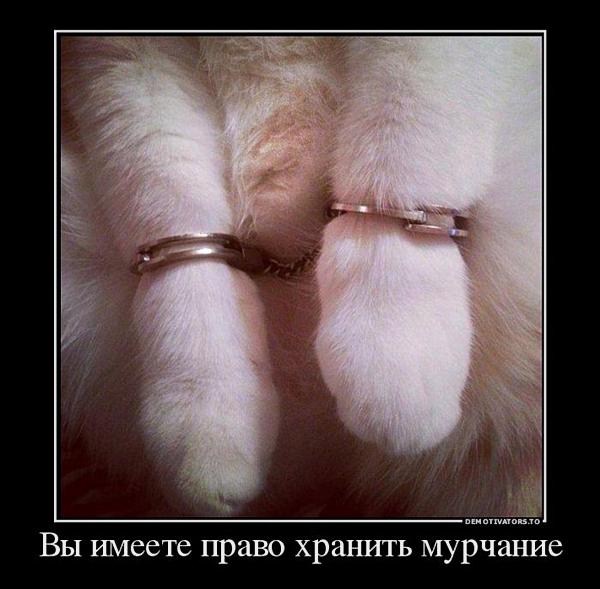 А тем временем во френдзоне… Свежие ржачно-оборжачные демотиваторы А тем временем во френдзоне… Свежие ржачно-оборжачные демотиваторы