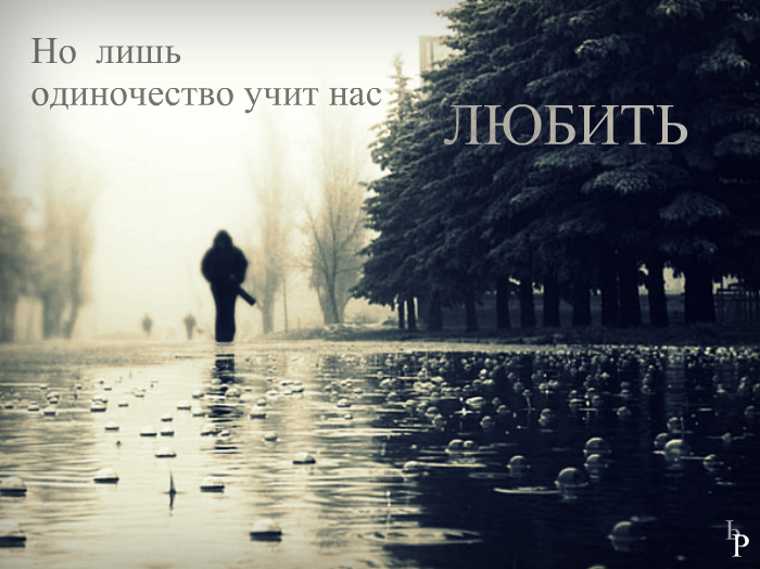Веселый сценарий на 23 февраля для взрослых - 23 февраля Баннер для свадебной фотосессии все особенности и как сделать