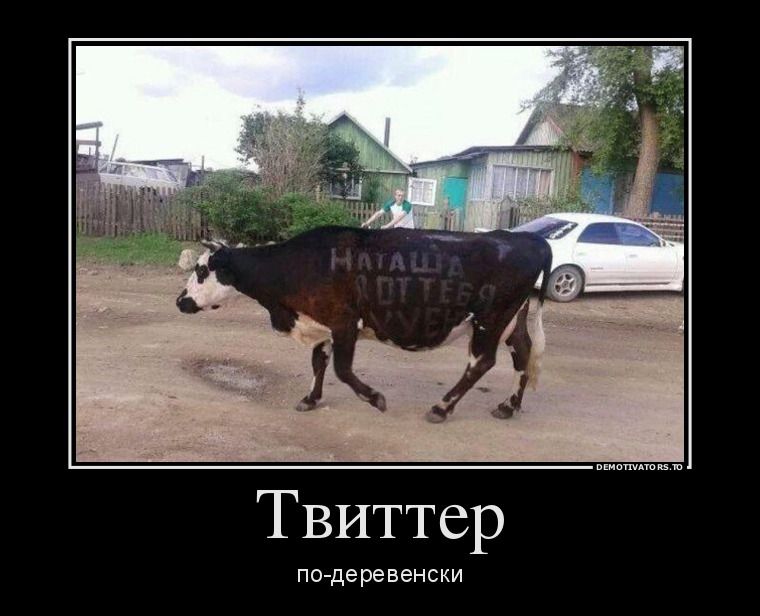 Демотиваторы юмор, демотиваторы