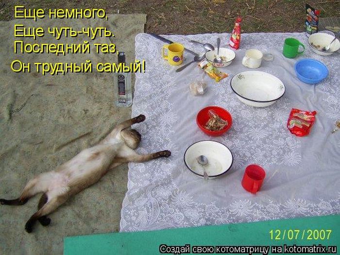 Мысли в слух :)
