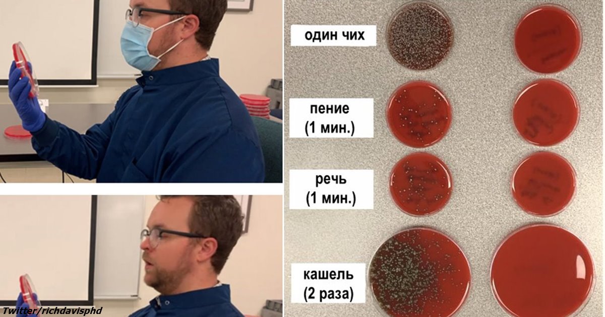 Фото специально для тех, кто считает, что маски «не помогают»