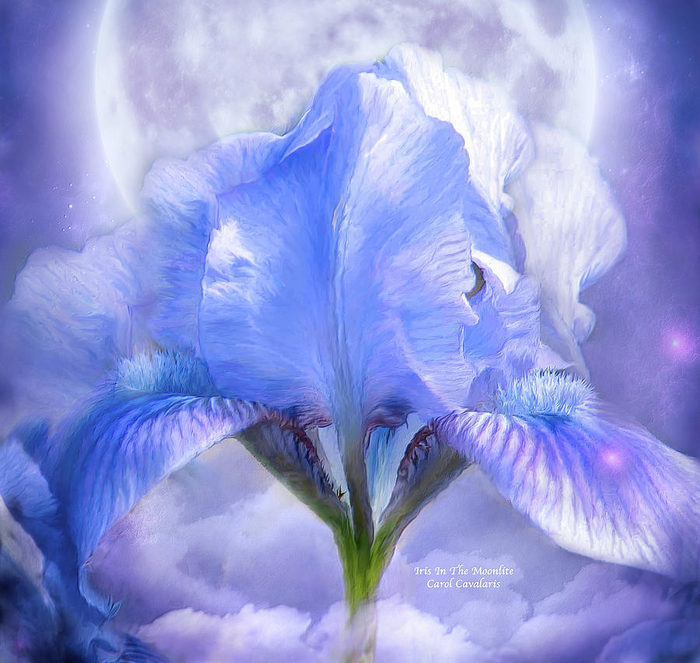 iris-goddess-in-the-moonlite-carol-cavalaris (700x663, 465Kb)