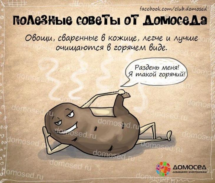 25 советов на все случаи жизни, которые пригодятся каждому полезные советы от домоседа, полезные советы, советы на все случаи жизни