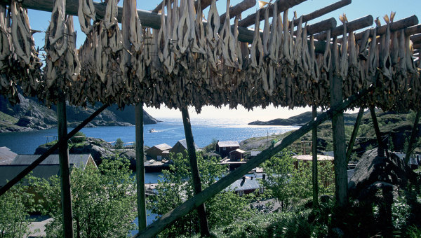 Вид на рыбацкий поселок Намсос в Норвегии. Архивное фото.