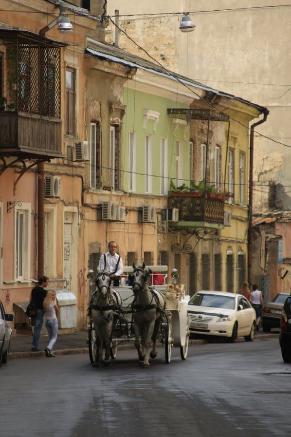 девушки, фото