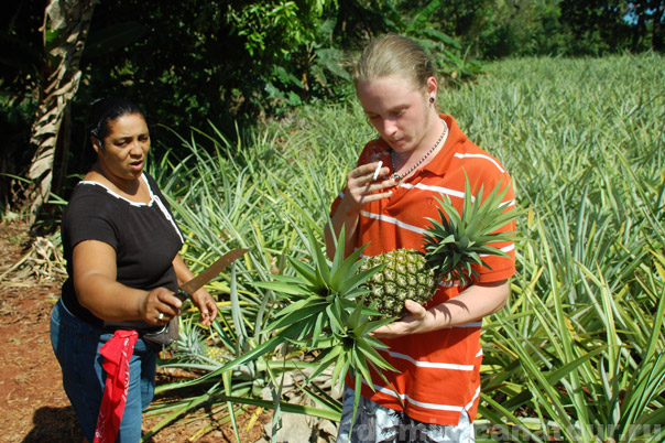 Еда в Доминикане, ананас
