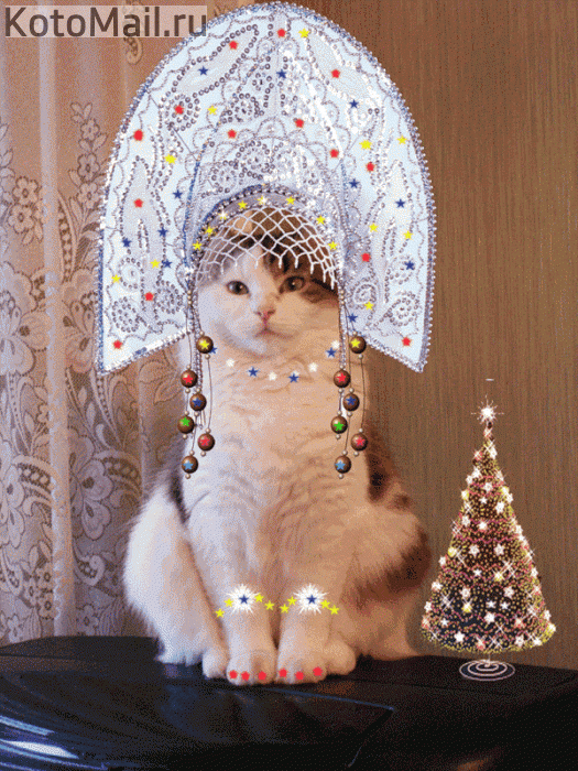 Коты и елка Коты и елка