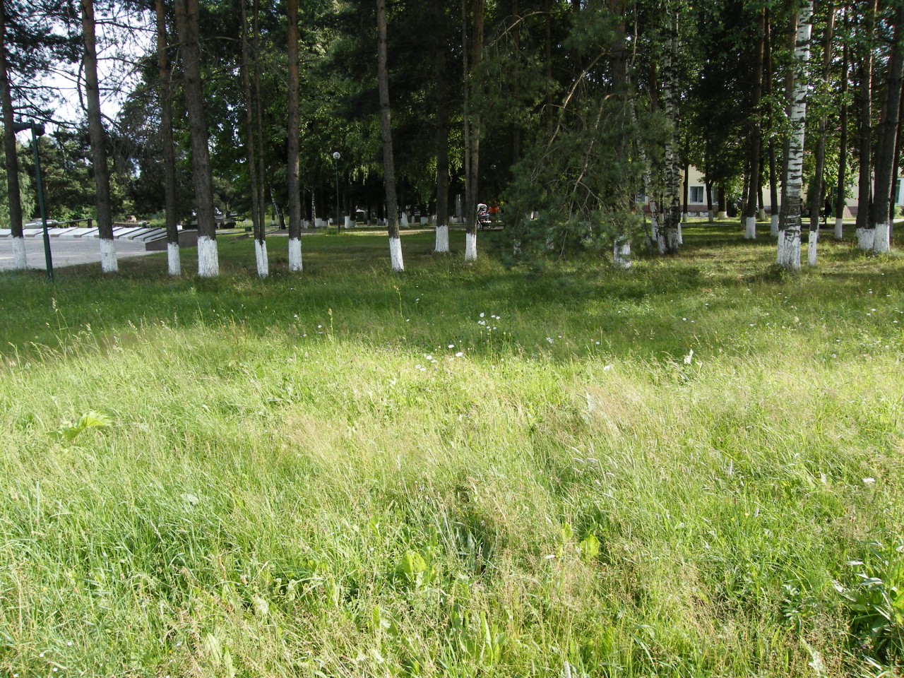 Рубеж Славы. Рубеж Славы. 2014 год.