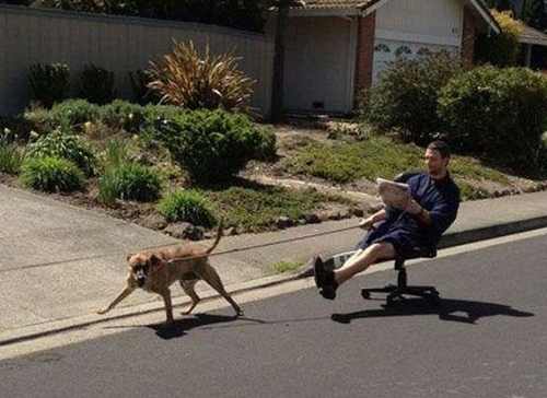 Walking-a-dog-on-ofc-chair1