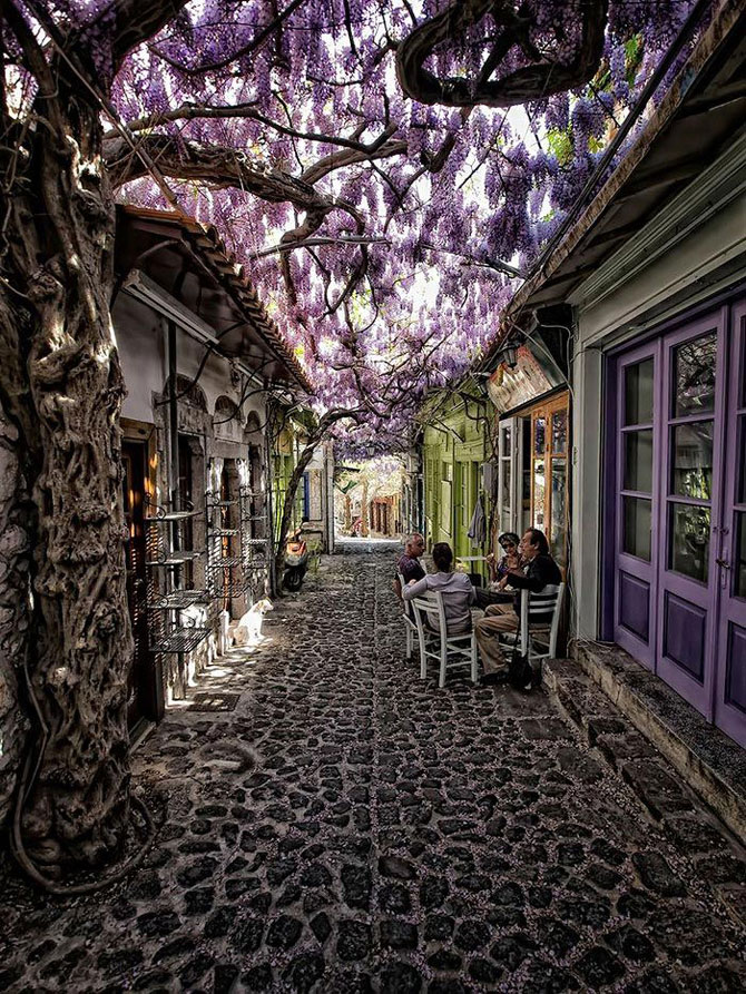 25 потрясающе красивых улиц в тени садов и деревьев