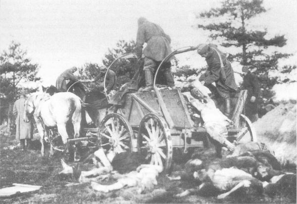 Шталаг ХД (Витцендорф, военный округ Гамбург), осень 1941 г. Трупы военнопленных- вывоз Шталаг ХД (Витцендорф, военный округ Гамбург), осень 1941 г. Трупы военнопленных- вывоз