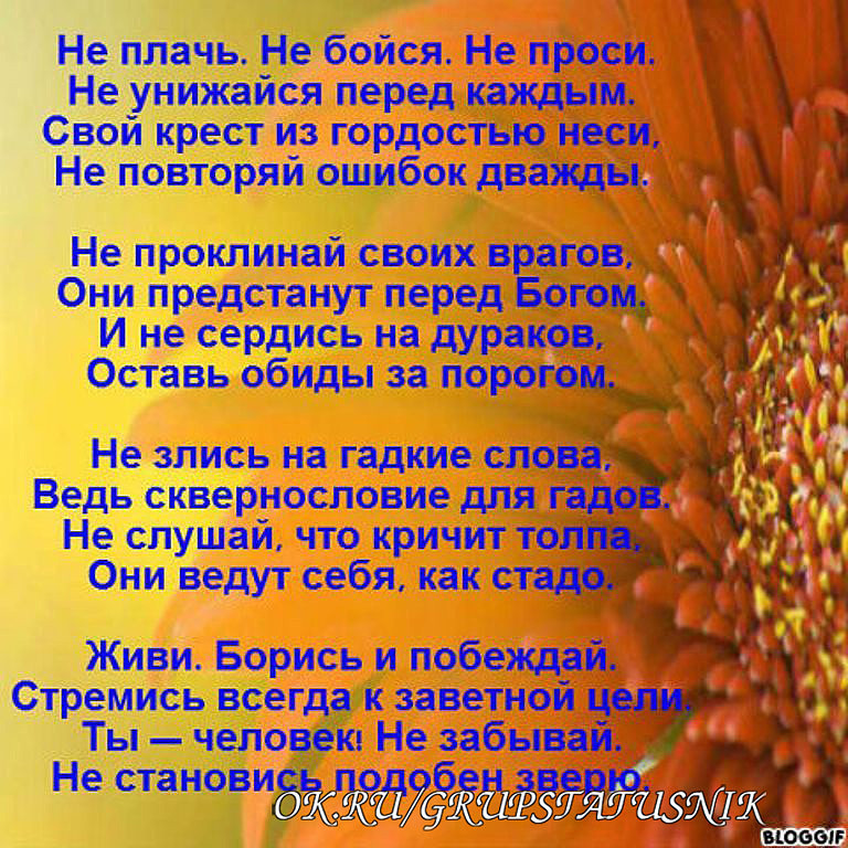 Всё для свадьбы в германии вадим кузема Всё для свадьбы в германии вадим кузема