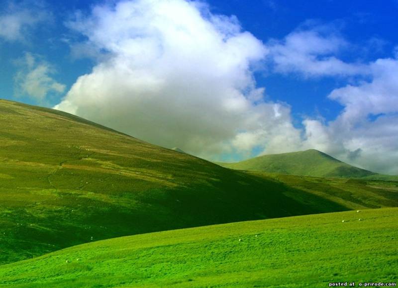 Природа России 6 Природа России 6