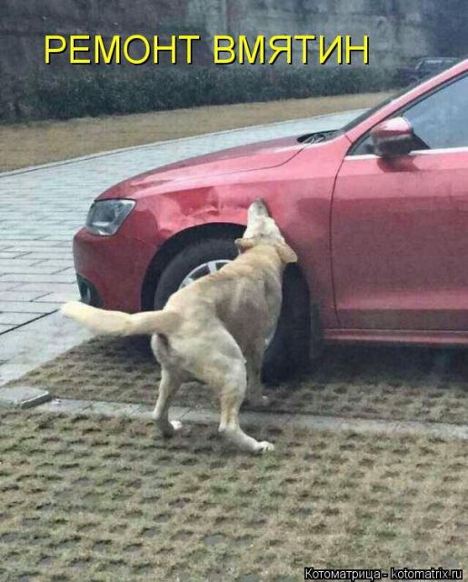 Котоматрицы великолепные, каждая с кусочком тепла, позитива и улыбкой!!! Всем добрых событий сегодня!!! Котоматрицы великолепные, каждая с кусочком тепла, позитива и улыбкой!!! Всем добрых событий сегодня!!!