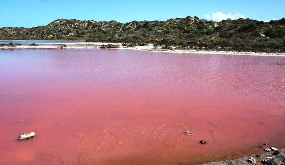 Озеро Хильер, Австралия
Нет, это не резервуар с мировыми запасами клубничного молочного коктейля или жвачки, это просто озеро с идеально розовой водой. И перед вами не обман зрения и не световой эффект, вода в этом 600-метровом озере сохраняет свой цвет и днем, и ночью. Точная причина этого феномена до сих пор не установлена, но основная версия называет источниками необычного цвета бактерии и микроорганизмы, обитающие в солевых отложениях.