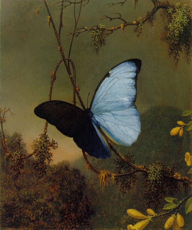 Martin Johnson Heade