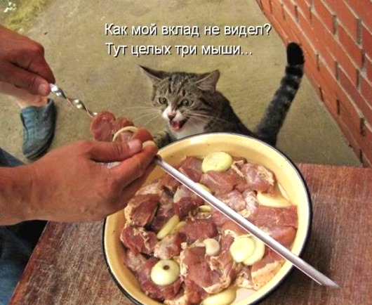 0e8b4bed0aa559e2996a6b045ae_prev