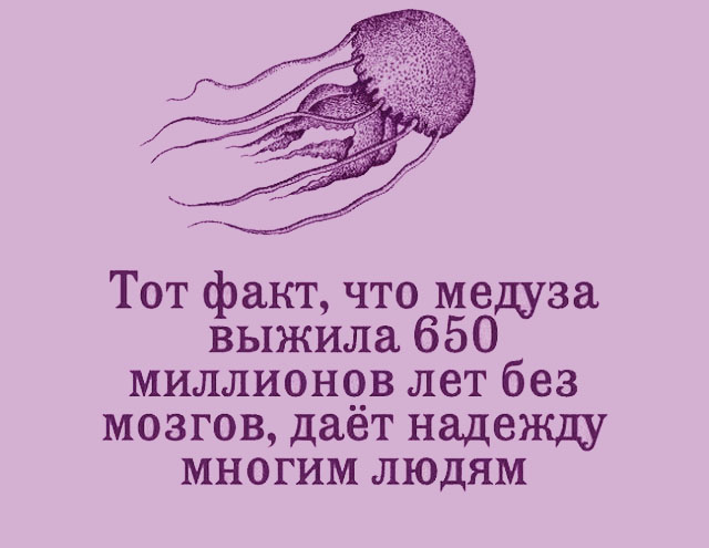 Прикольные цитаты и истории (50 картинок) Прикольные цитаты и истории (50 картинок)