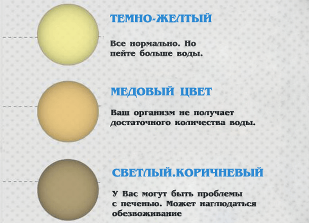 Клуб беременных журавлик гардероб дк гидравлик 23