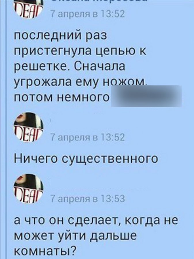Хабаровские живодёрки жалуются на тяжкие условия содержания в СИЗО Хабаровские живодёрки жалуются на тяжкие условия содержания в СИЗО