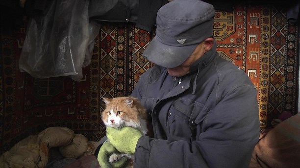 Какой я малоимущий, я ничего не имеющий Сахалин, жилье, бездомный мужик, Человек и бюрократия, село, Кочегарка, так и живём, безысходность, длиннопост