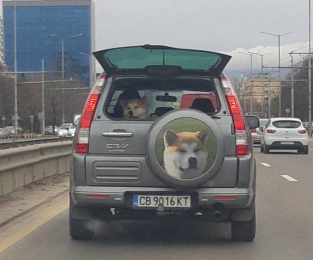 Прикольные картинки абавсём:D Прикольные картинки абавсём:D