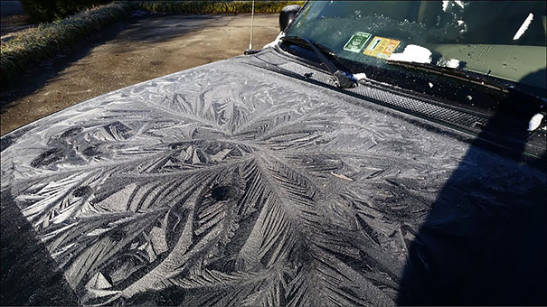 frozen-frosted-cars-31__605