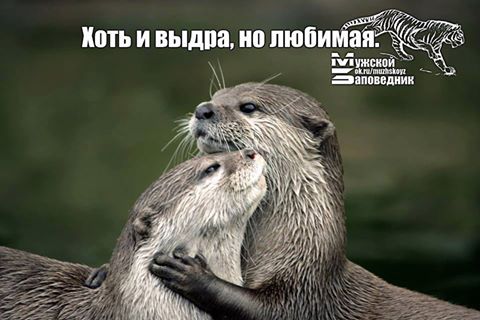 Коньяк признали лекарством...  Улыбнёмся?