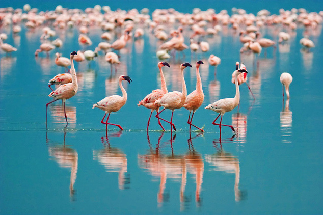 Куда поехать тем, кто уже все видел Куда поехать тем, кто уже все видел